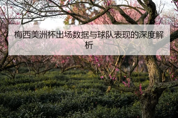 梅西美洲杯出场数据与球队表现的深度解析